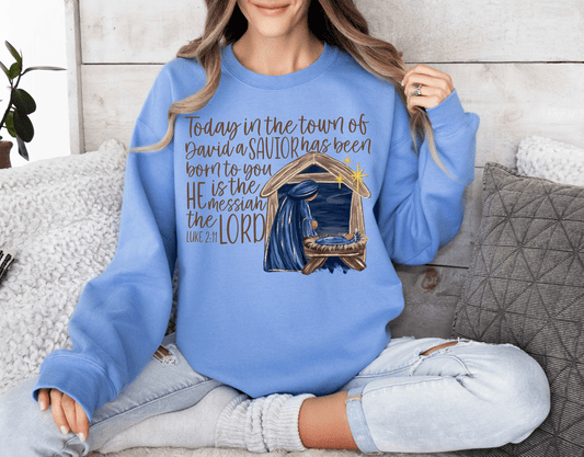 Born in a Manger Long Sleeve Top